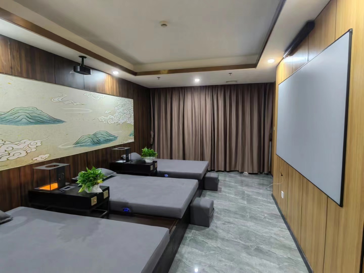 電動(dòng)榻榻米床